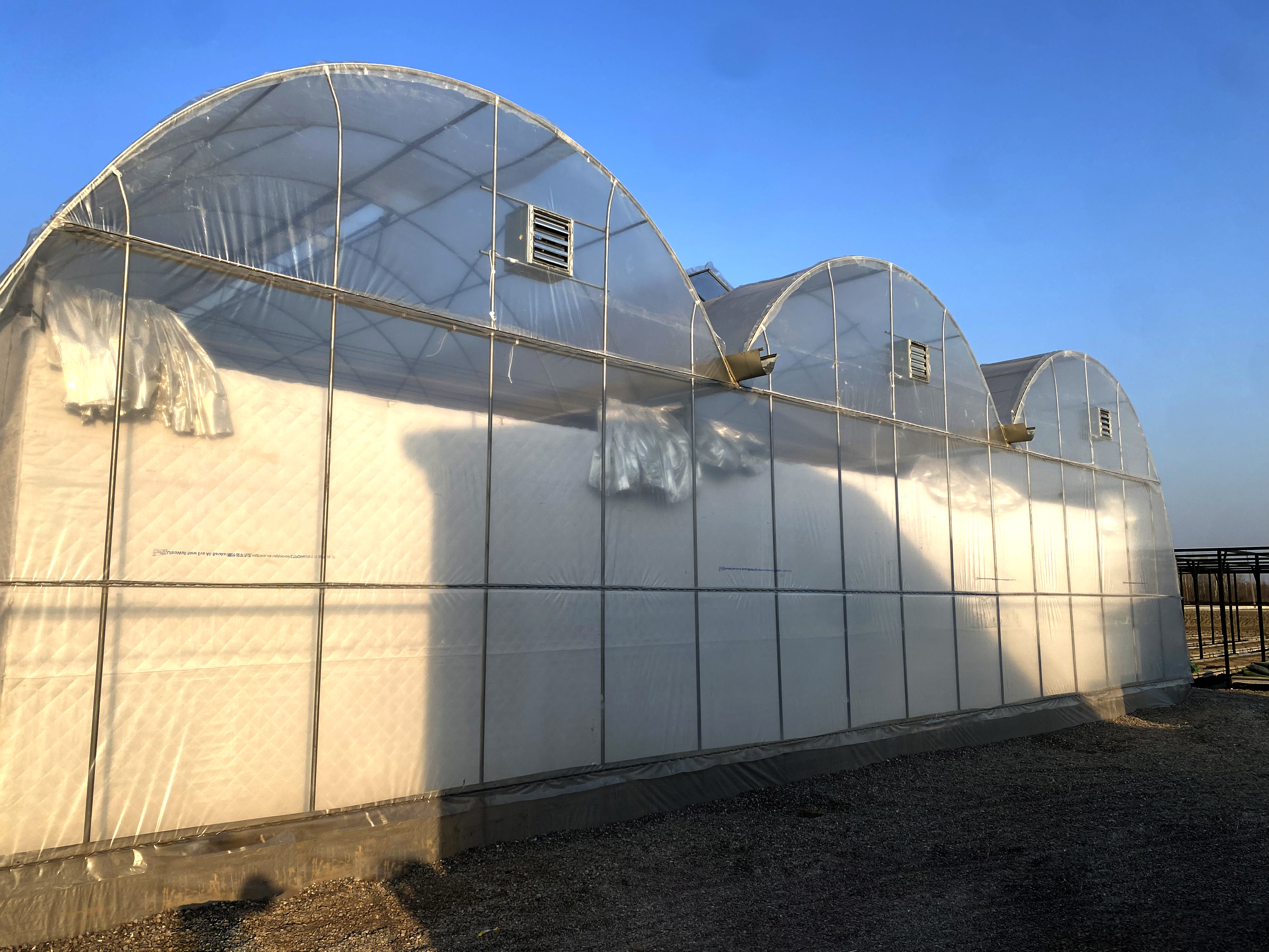 Gidroponika issiqxonasi