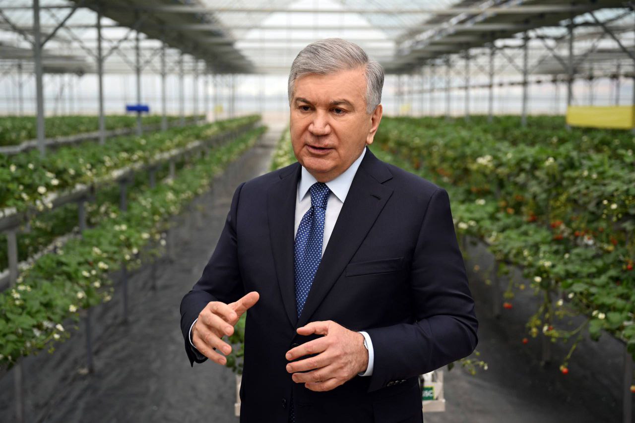 Prezident bilan uchrashuv